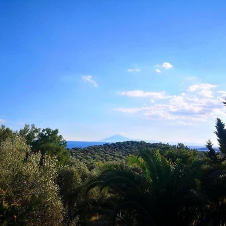 Thasos Seaside Serenity - Seaview & Garden Nests Appartement Astris Buitenkant foto
