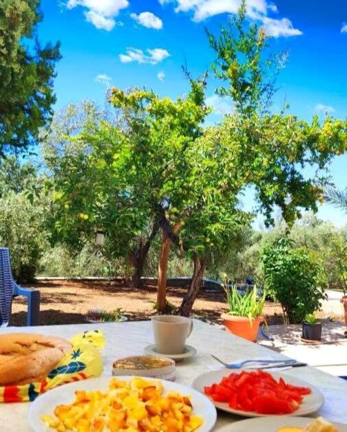 Thasos Seaside Serenity - Seaview & Garden Nests Appartement Astris Buitenkant foto