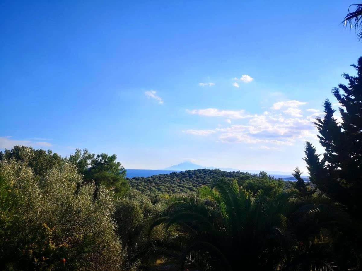 Thasos Seaside Serenity - Seaview & Garden Nests Appartement Astris Buitenkant foto