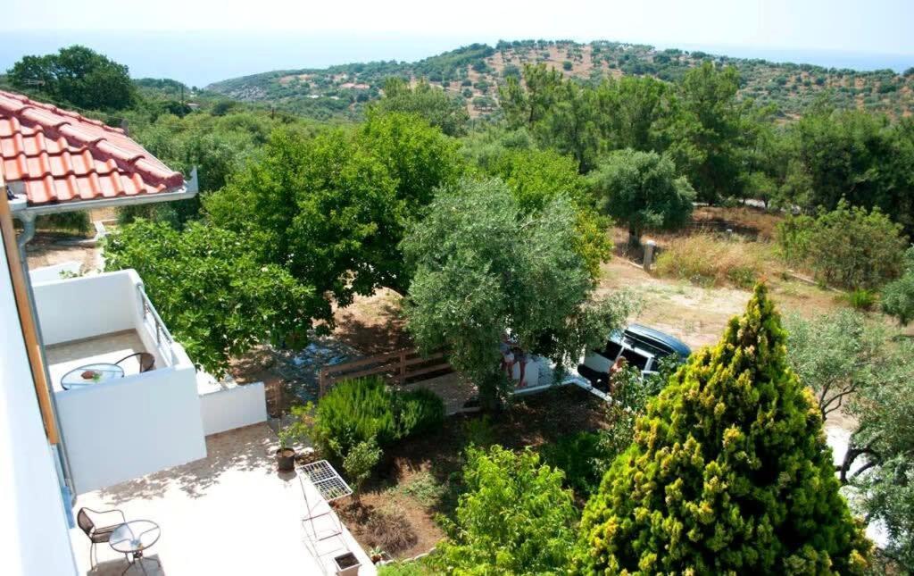 Thasos Seaside Serenity - Seaview & Garden Nests Appartement Astris Buitenkant foto