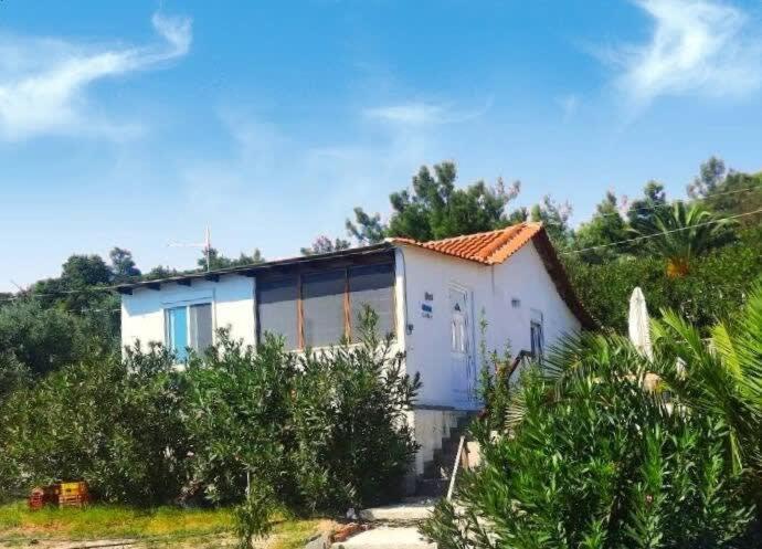 Thasos Seaside Serenity - Seaview & Garden Nests Appartement Astris Buitenkant foto