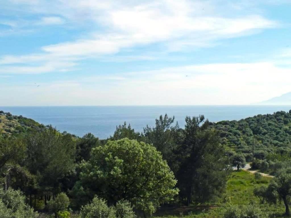 Thasos Seaside Serenity - Seaview & Garden Nests Appartement Astris Buitenkant foto